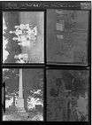 Elm Street park; Women; Evan's Family Graveyard (4 Negatives) 1950s, undated [Sleeve 34, Folder e, Box 20]